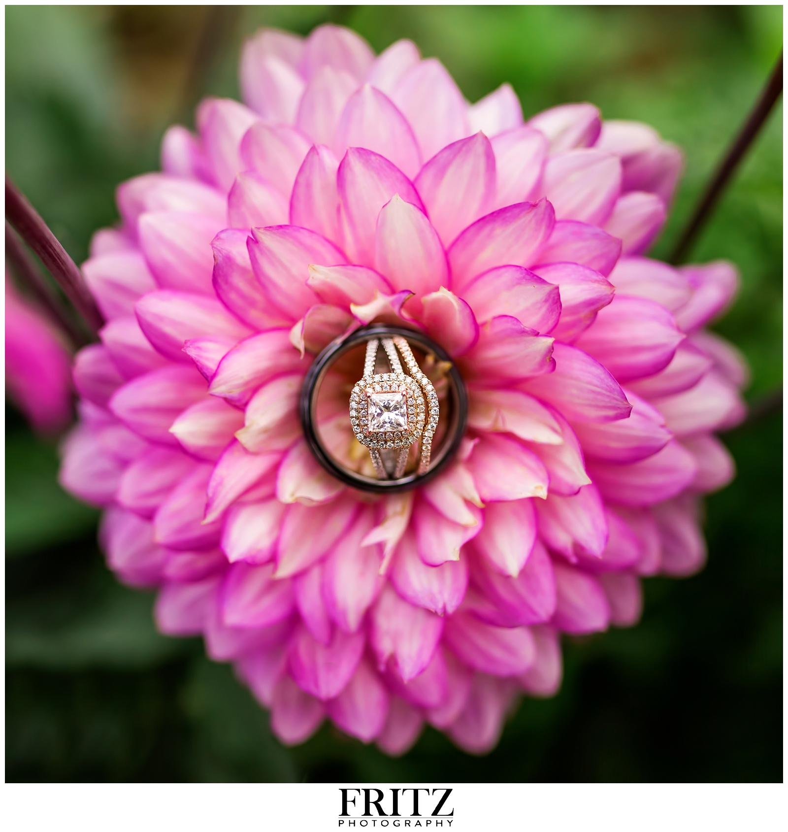 2015 Wedding Photography - Connecticut (3)