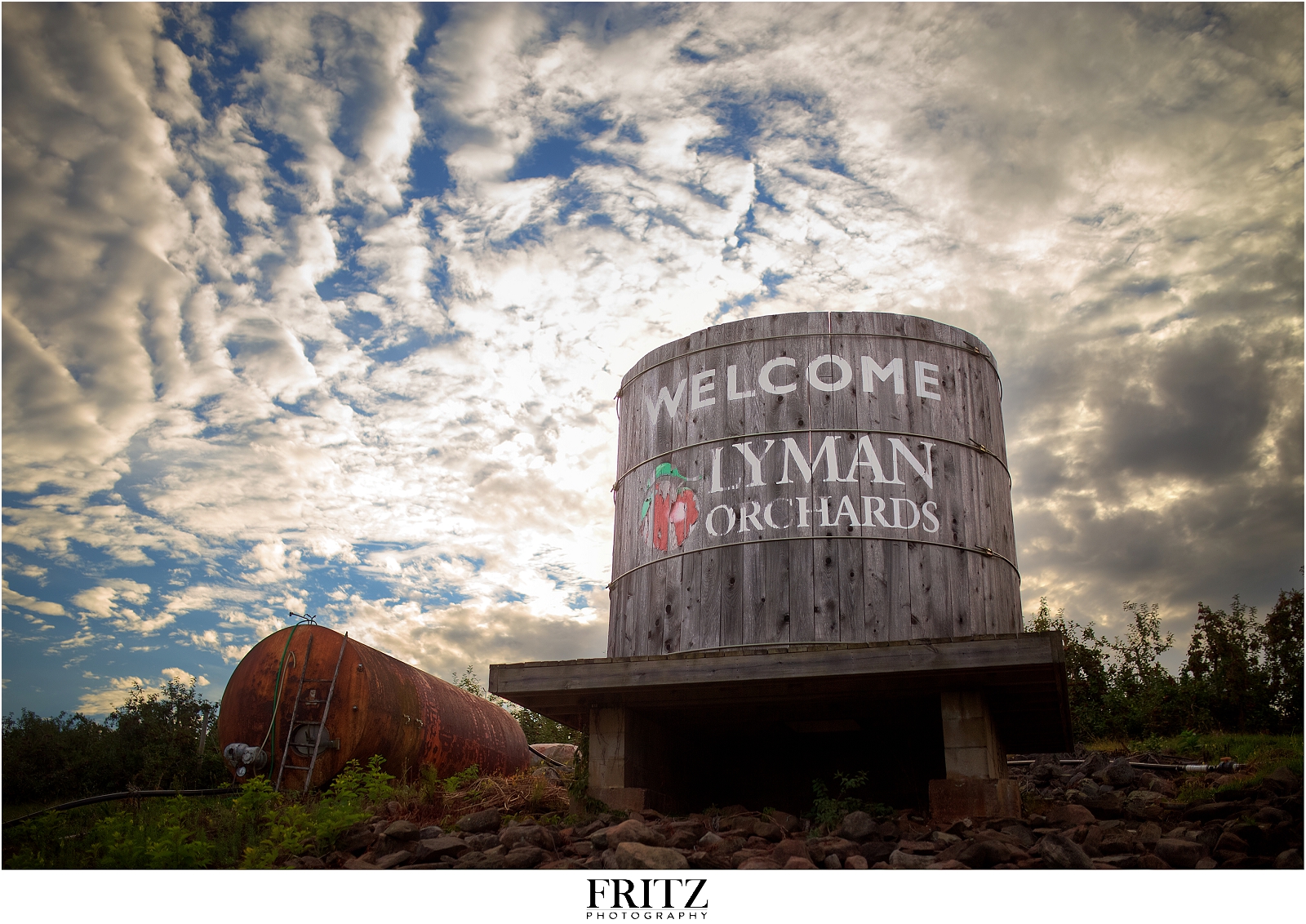 Lyman Orchards Engagement Session - Wedding (17)
