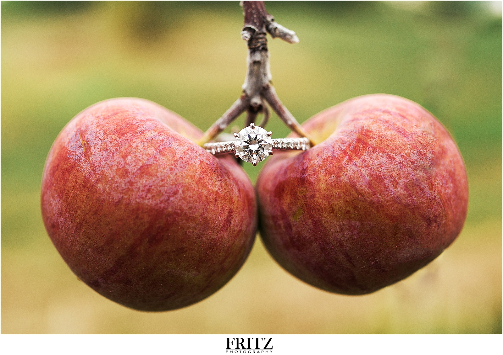 Lyman Orchards Engagement Session - Wedding (9)