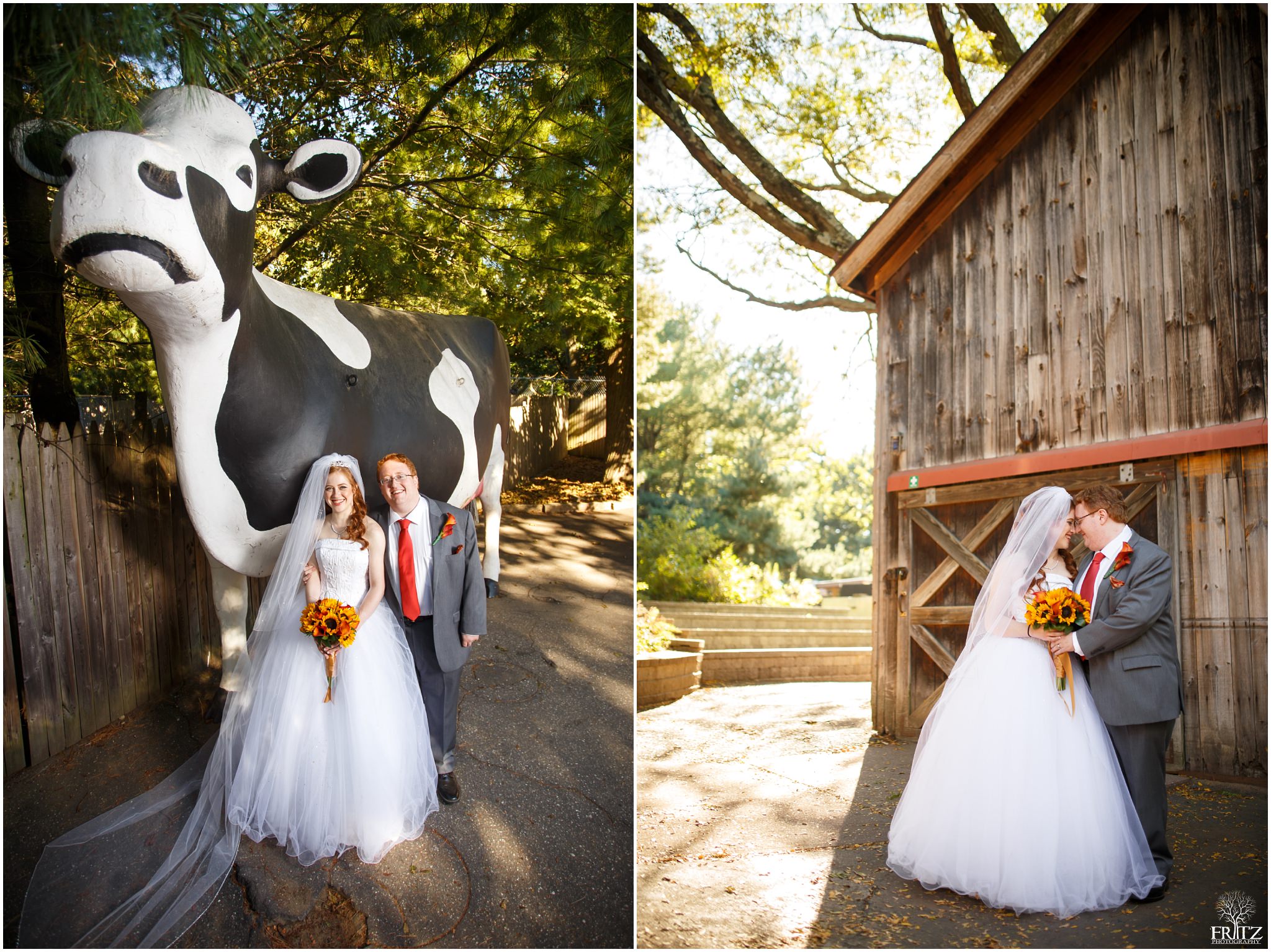 Beardsley Zoo Wedding